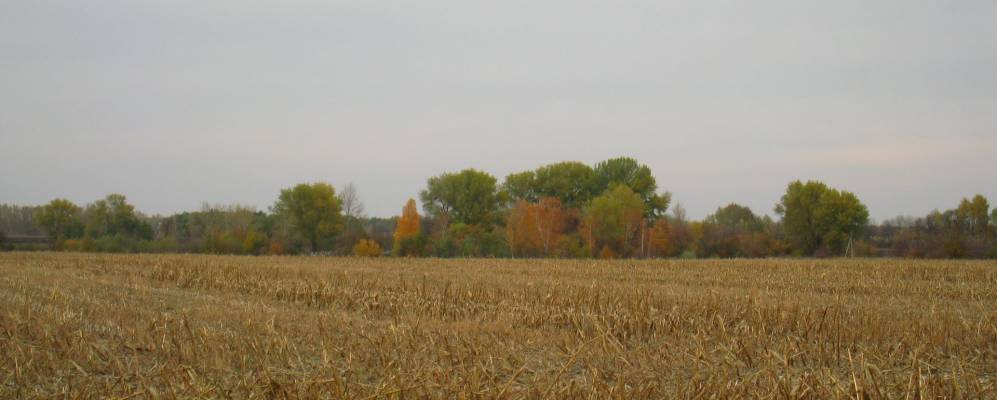 
            Фотография Малинщины