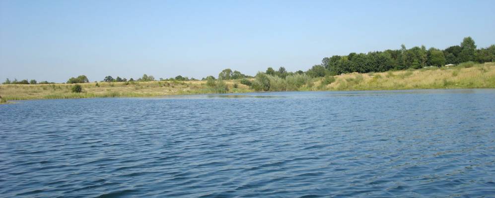 
            Фотография Цетули