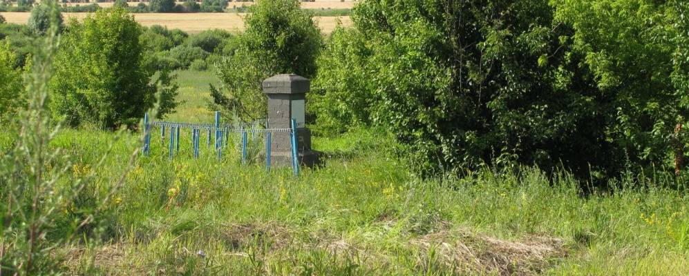 
            Фотография Снавы