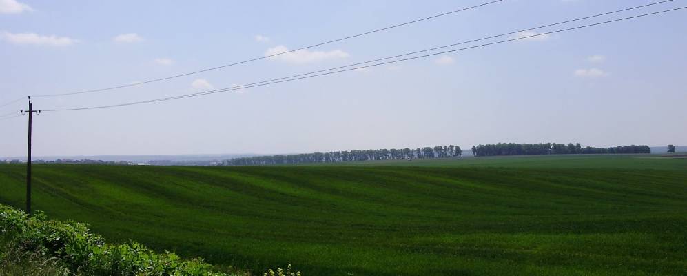 
            Фотография Дибровки