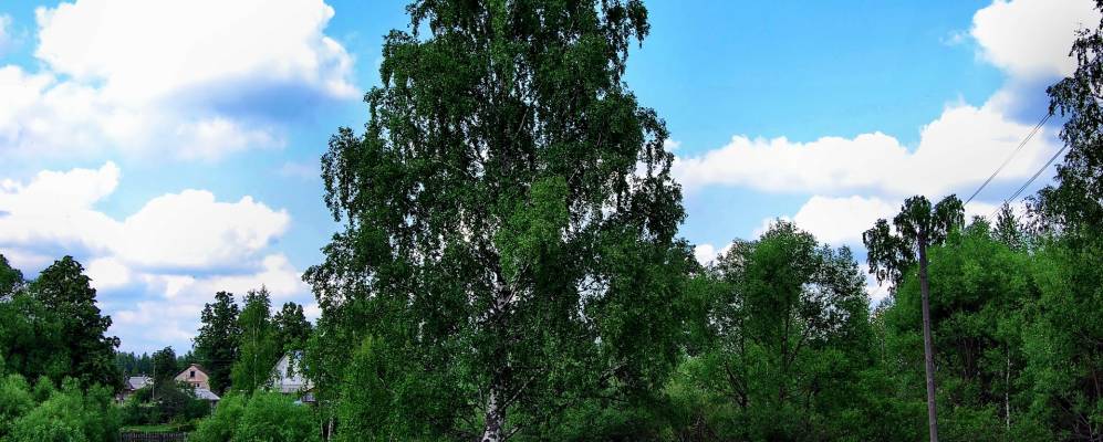 
            Фотография Большого Марково