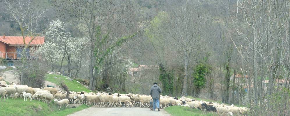 
            Фотография Ля-Тур-дю-Крьё