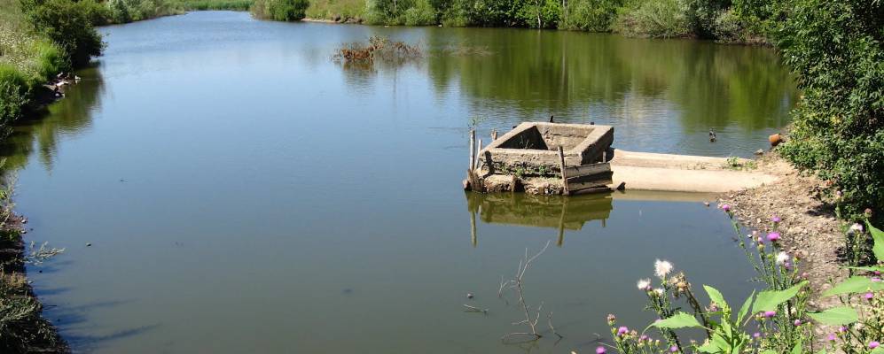 
            Фотография Ворсклицы