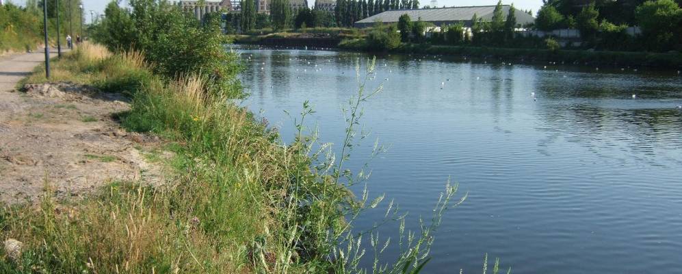 
            Фотография Маркетт-ле-Лиля