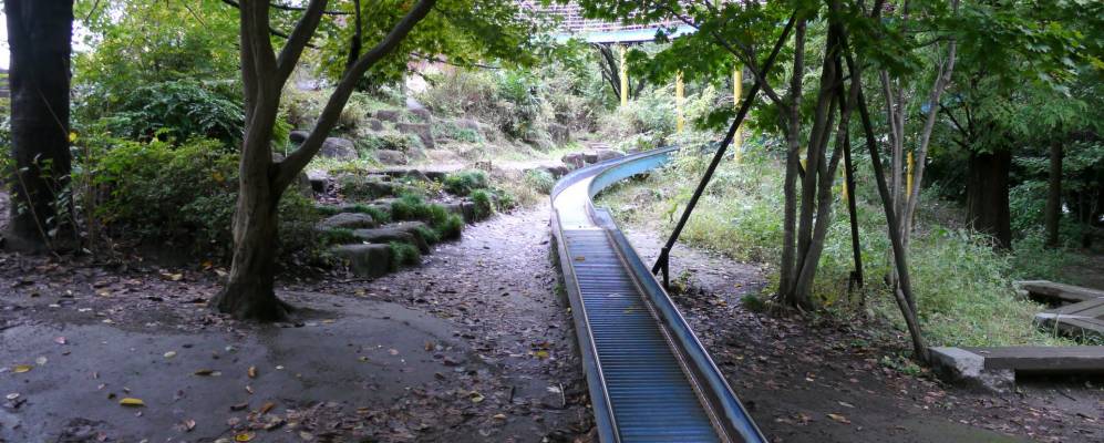 
            Фотография Ои