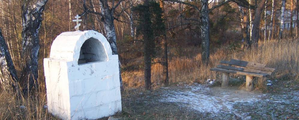 Фотография Медведков