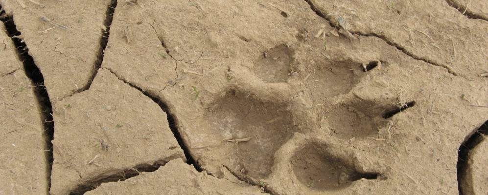 
            Фотография Яковлево