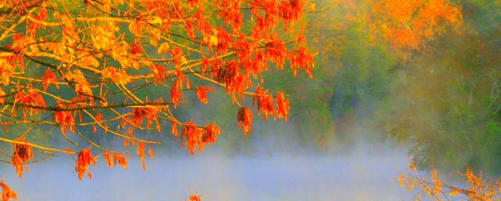 
            Фотография Луисвилла