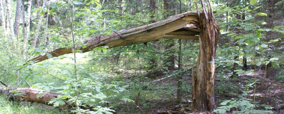 
            Фотография Милягино