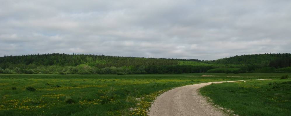 
            Фотография Арбаша