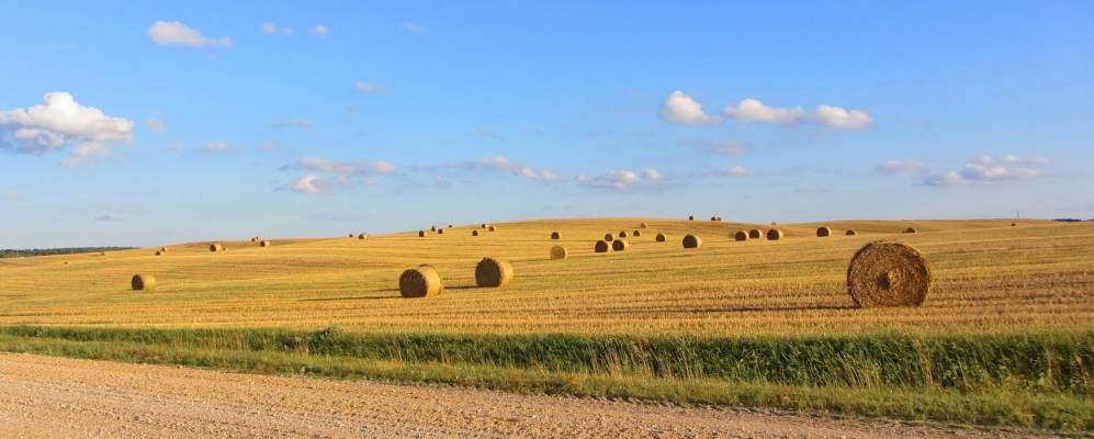 Фотография деревни Кожуховцы