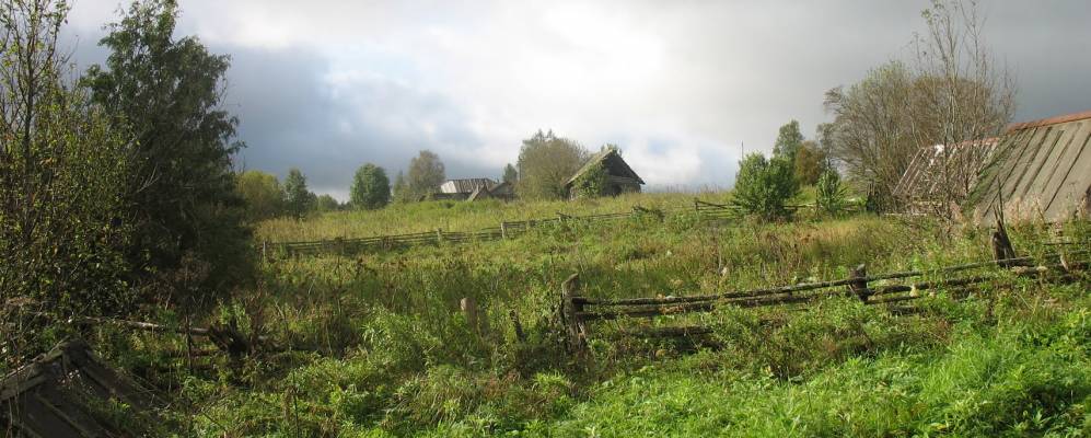 
            Фотография Хвостихи