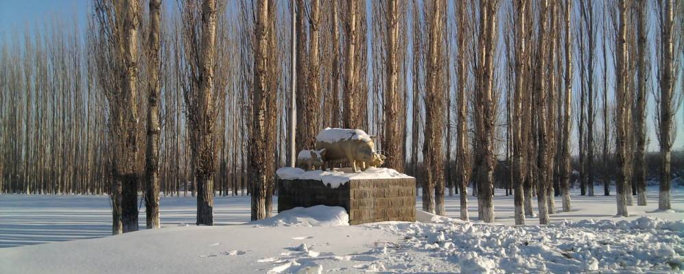 
            Фотография Восточного