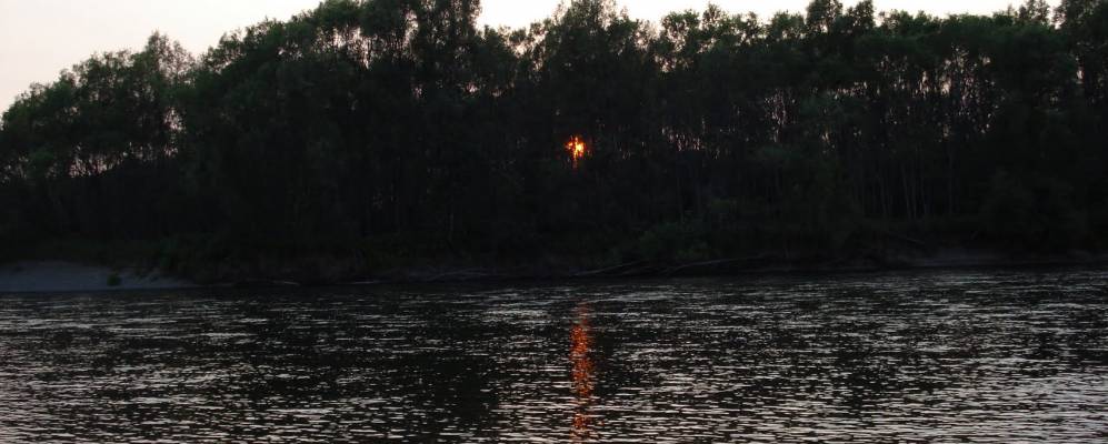 
            Фотография Дрофы