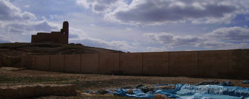 
            Фотография Лесусы