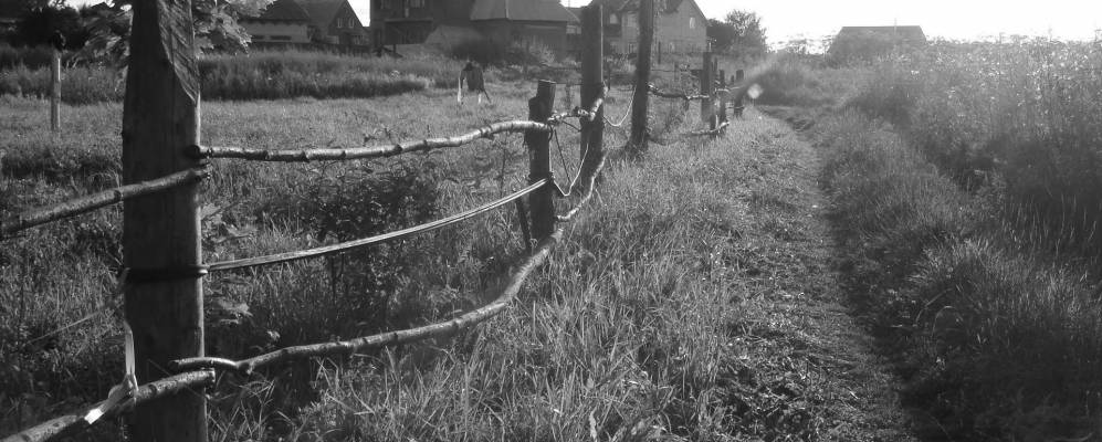 
            Фотография Сохино