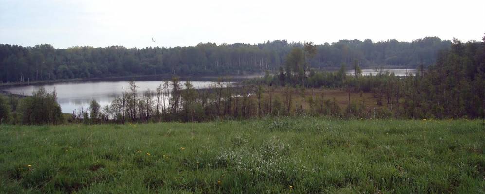 
            Фотография с.т. Черемушки