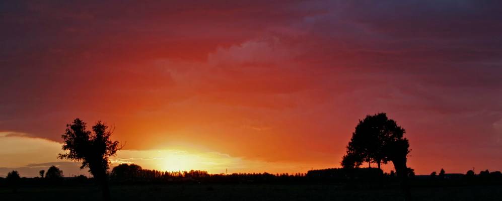 
            Фотография Виаданы