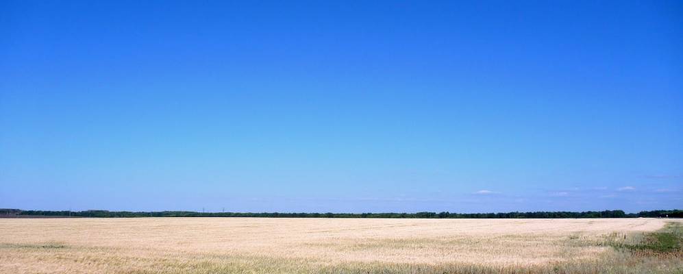 
            Фотография Березовки Второй