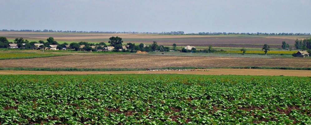 
            Фотография Маразлиевки