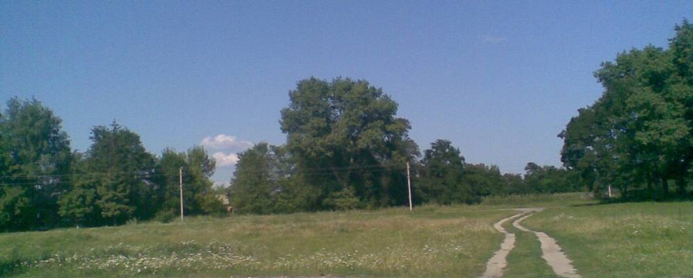 
            Фотография Березняки