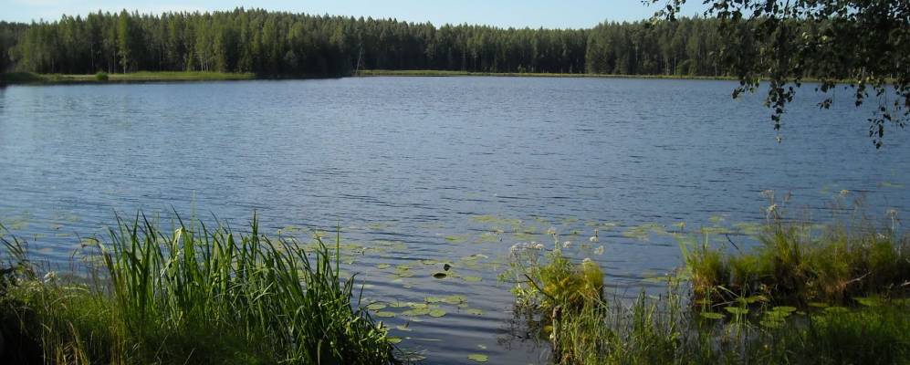 
            Фотография Тимошкино