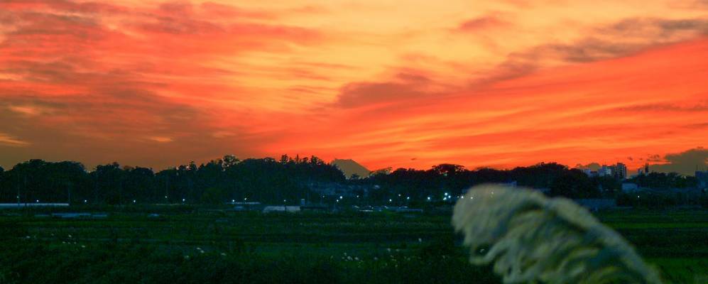 
            Фотография Торайде