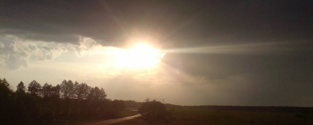 
            Фотография Гараповки