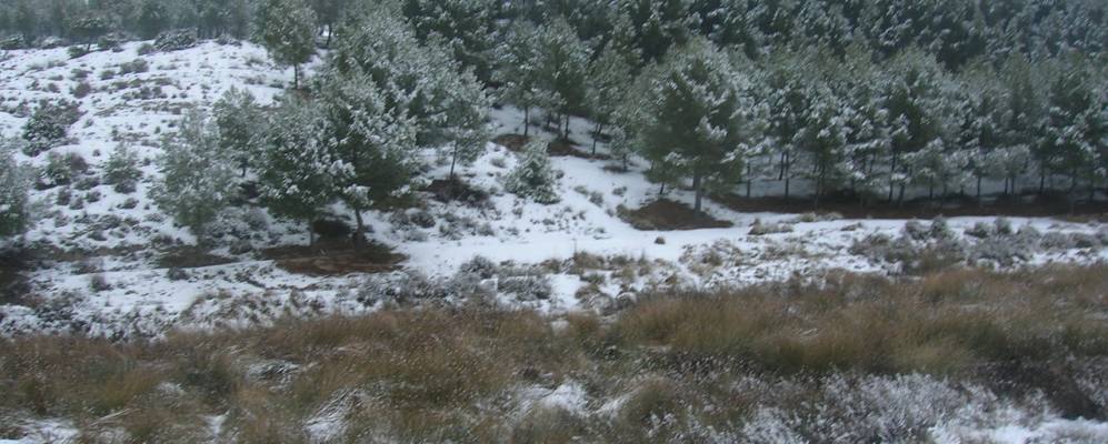 
            Фотография Аламеда-де-ла-Сагра