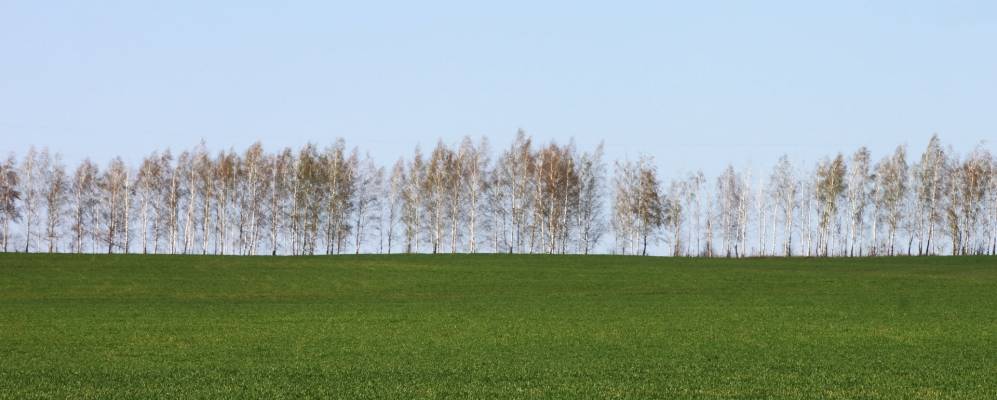 
            Фотография Юшанского