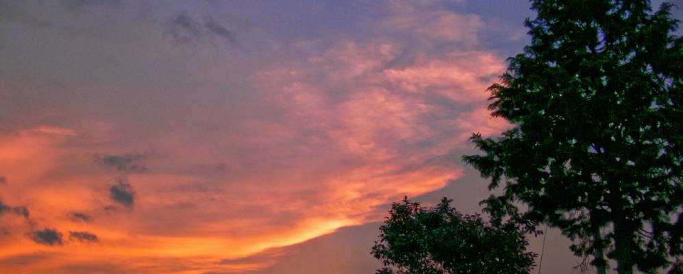 
            Фотография Готэмбы