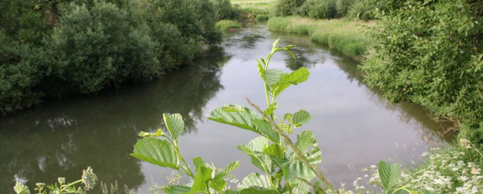 
            Фотография Грищенского