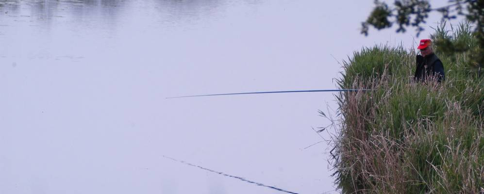 
            Фотография Лоя