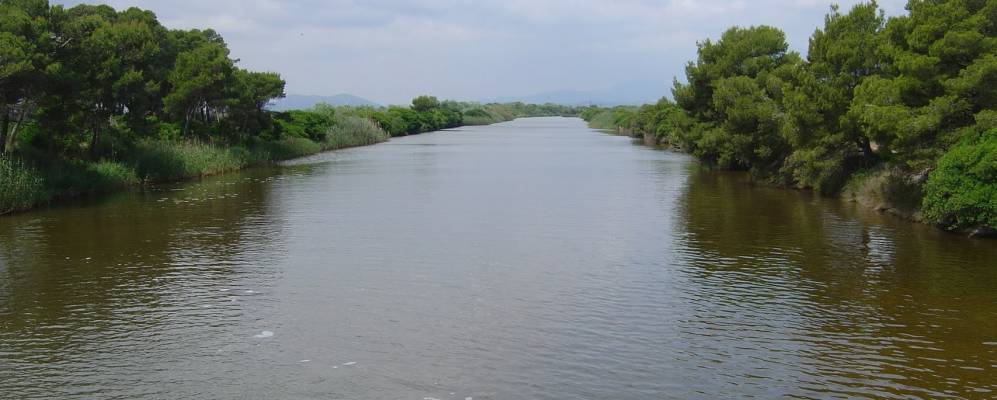 
            Фотография Плайя-де-Муро