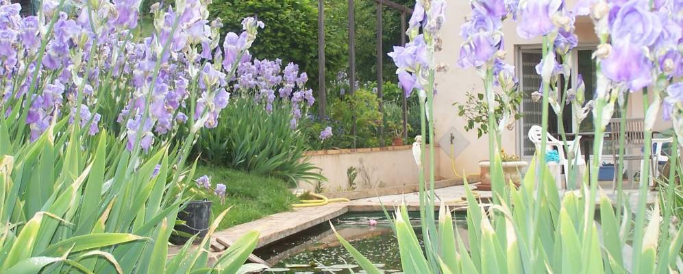 
            Фотография Лё-Версуда