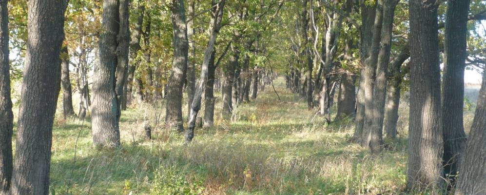 Фотография Волхоновки