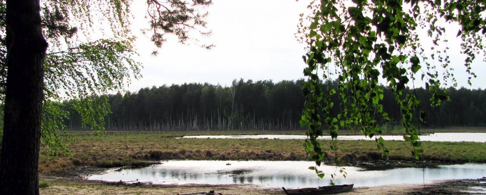 
            Фотография Пригородого Лесничества