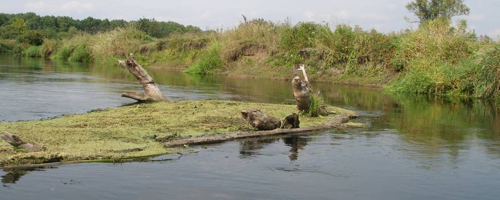 
            Фотография Степеца