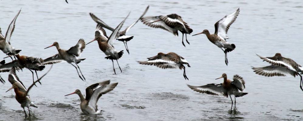 
            Фотография Лё-Тейша