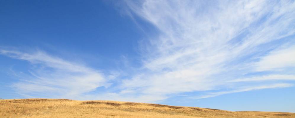 
            Фотография Блявы