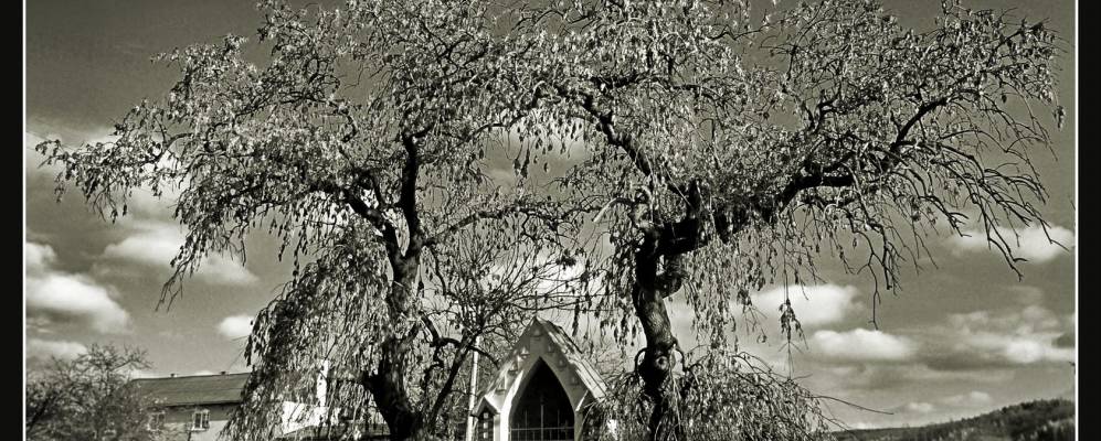 
            Фотография Велки Уезда