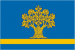 Флаг Дубовки