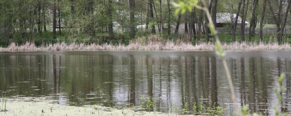 
            Фотография Гмырянки