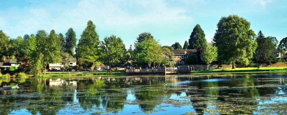 
            Фотография Сидар Хиллса