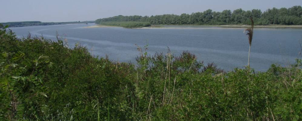 
            Фотография Берры