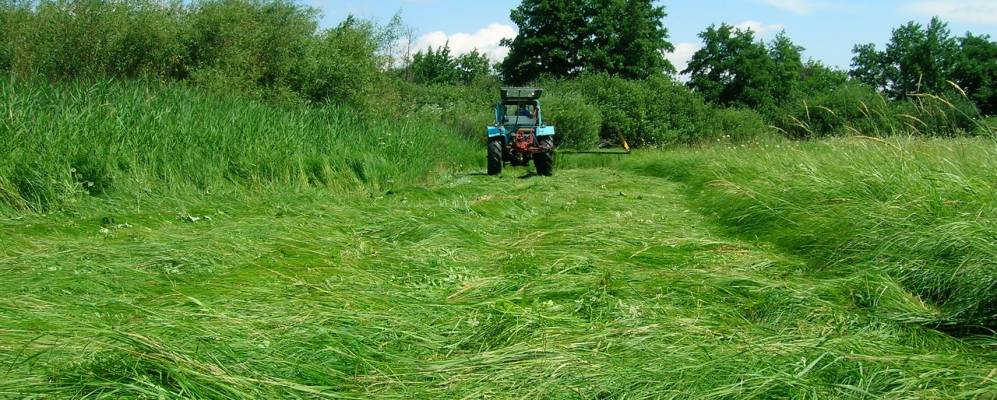 Фотография Возрождения