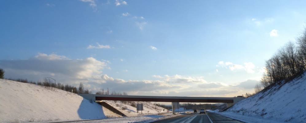 
            Фотография Мэйфилда