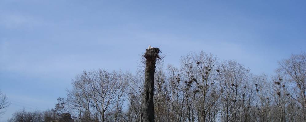 Фотография Уборока