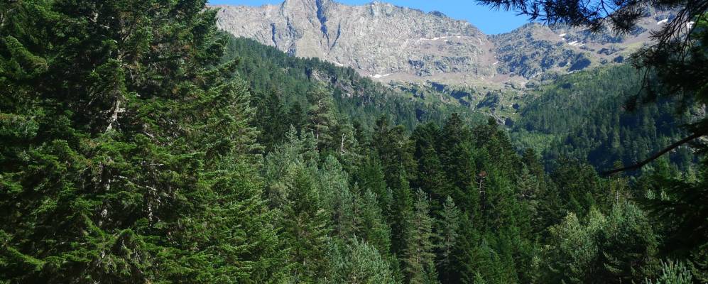 
            Фотография Сальент-де-Гальего