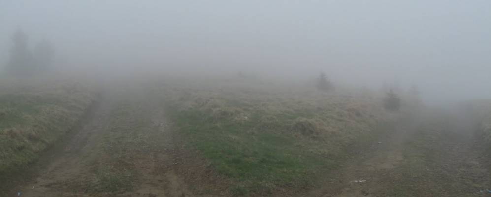 
            Фотография Грамотного